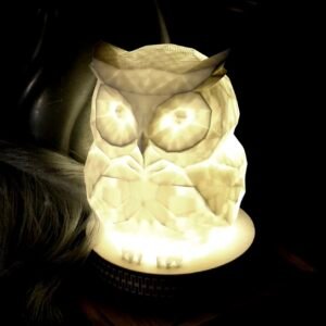 Lampada Gufo – Stampa 3D con Base in Legno | USB | Luce Notturna Decorativa